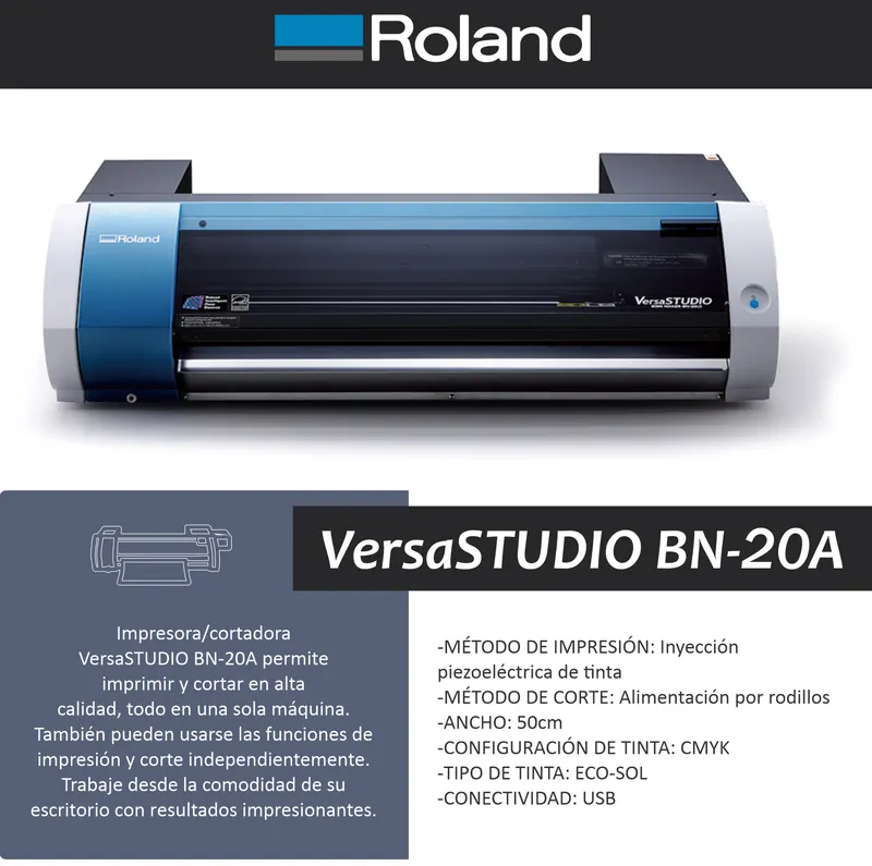 Roland BN-20A