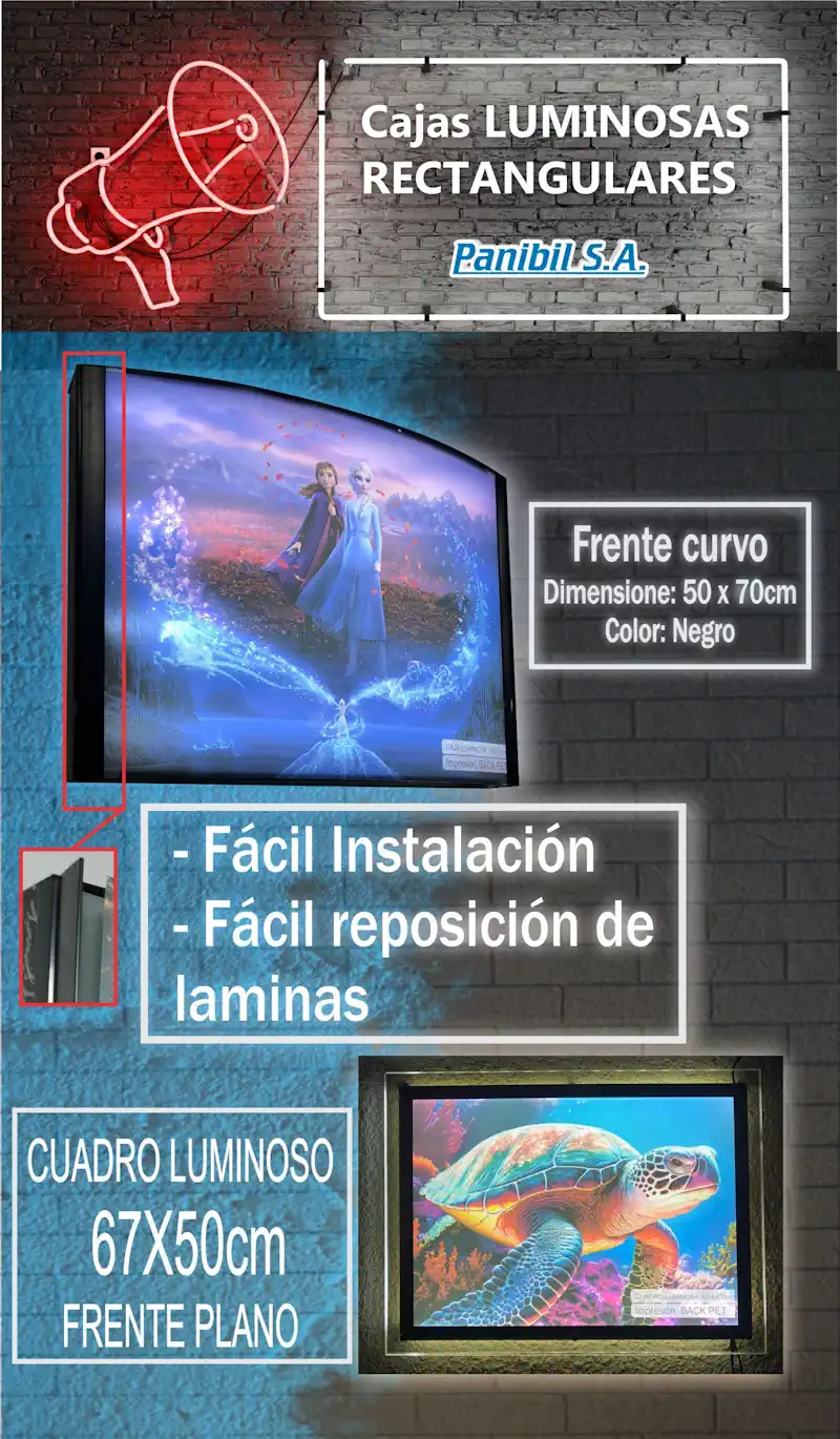 Cajas LUMINOSAS RECTANGULARES Planas y con Frente Curvo